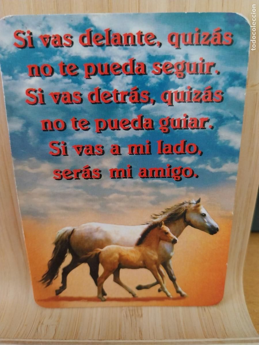 Kalender: CABALLO POTRO CALENDARIO A&Ntilde;O 2003 PUBLI *** CARNICERIA JOAQUIN *** REF BO 802 ***