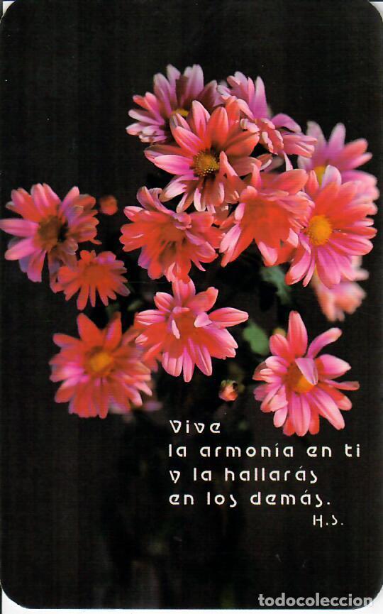 Calendarios: CALENDARIO DE PUBLICIDAD - A&Ntilde;O 1994 - SAN PABLO BURGOS
