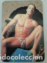 Calendars: Calendario 1996 Serie RR 213 Desnudos Chicos