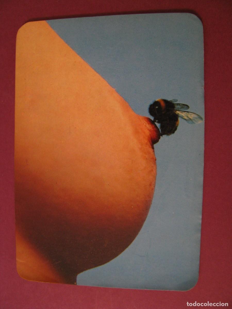 Calendarios: CALENDARIO DE BOLSILLO. CHICA. 1981. PUBL. CAPRI II. VELEZ MALAGA