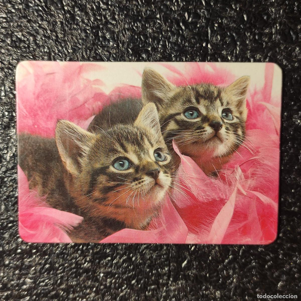 Calendarios: CALENDARIO DE BOLSILLO . GATOS 1984 ** CON PUBLICIDAD . VER FOTOS ** T3