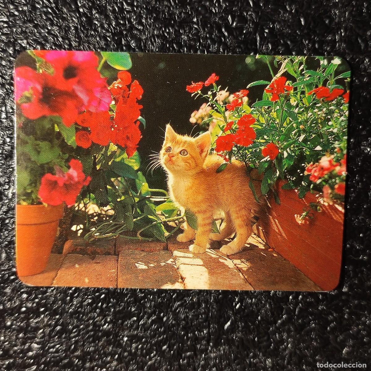 Calendarios: CALENDARIO DE BOLSILLO . GATOS 1991 ** CON PUBLICIDAD . VER FOTOS ** T3