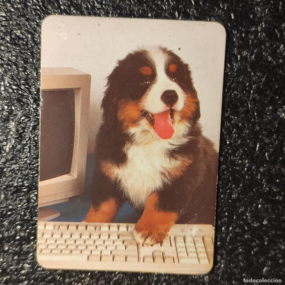 Calendarios: CALENDARIO DE BOLSILLO . PERRO ORDENADOR 2004 ** PUBL. ** T3