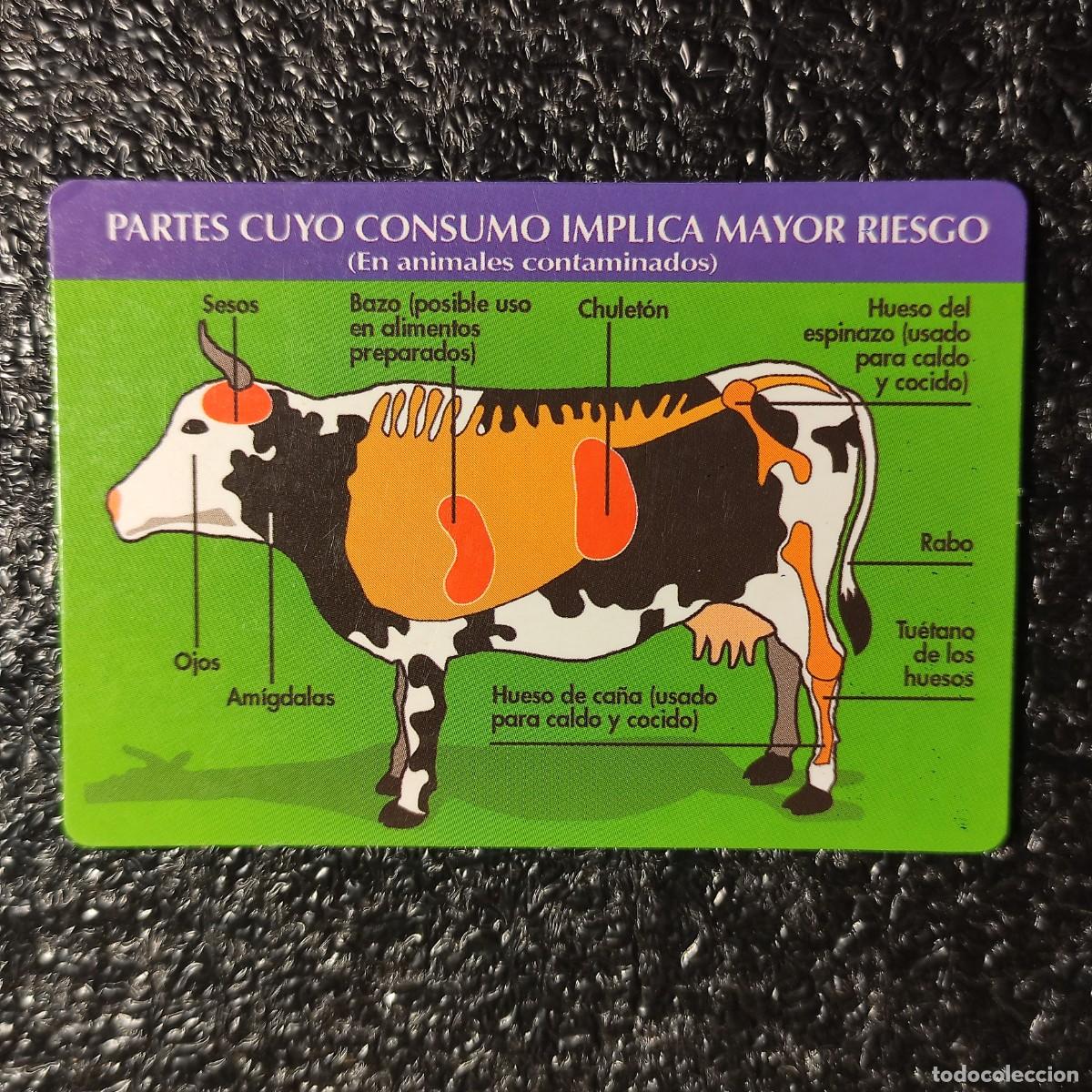 Calendarios: CALENDARIO DE BOLSILLO CONSEJOS . DESPIECE DE LA VACA ** 2004 ** T4