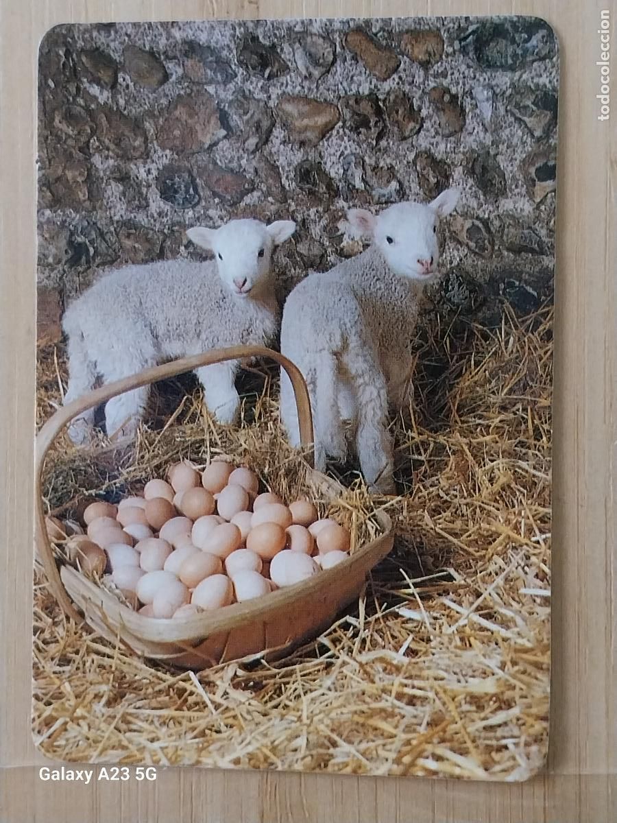 Calendarios: CORDEROS CESTA HUEVOS CALENDARIO 1989 PUBLICIDAD PANADERIA HNOS CASTILLO REF MP 9