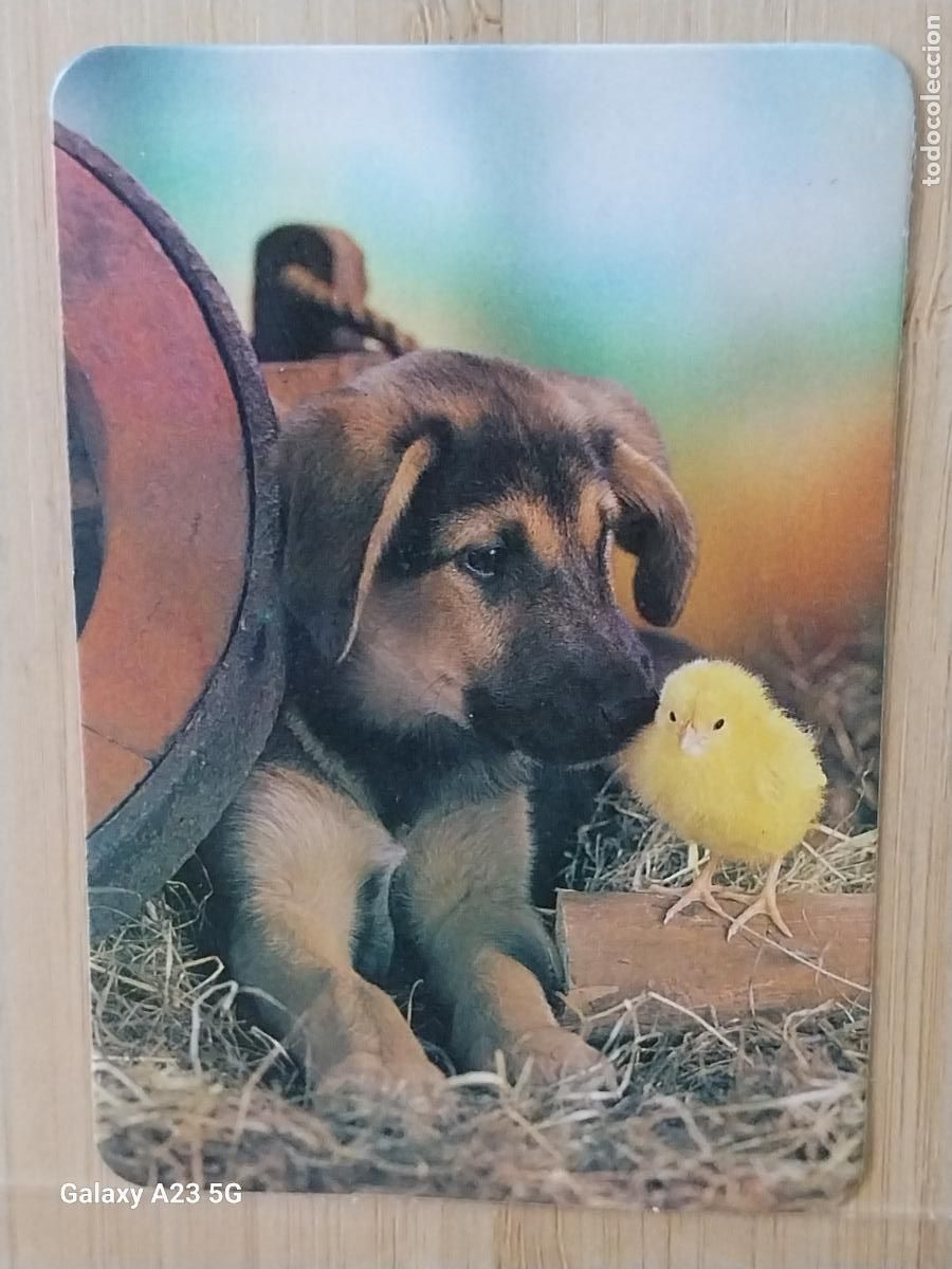 Calendarios: PERRITO Y POLLO CALENDARIO 1989 PUBLICIDAD POLLERIA HNOS CASTILLO REF MP 1