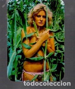 Calendarios: CALENDARIO DE BELLAS SE&Ntilde;ORITA DEL A&Ntilde;O 1977 SER&Iacute;A L. 310 - XIX SELECCI&Oacute;N SIN PUBLICIDAD