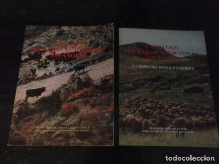 Libros: libro de catalogo de razas autoctonas espa&ntilde;olas - Foto 1
