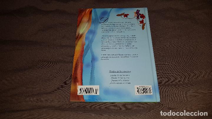 Libros: HADAS DE LAS CAVERNAS (ED. LIBSA) - Foto 2