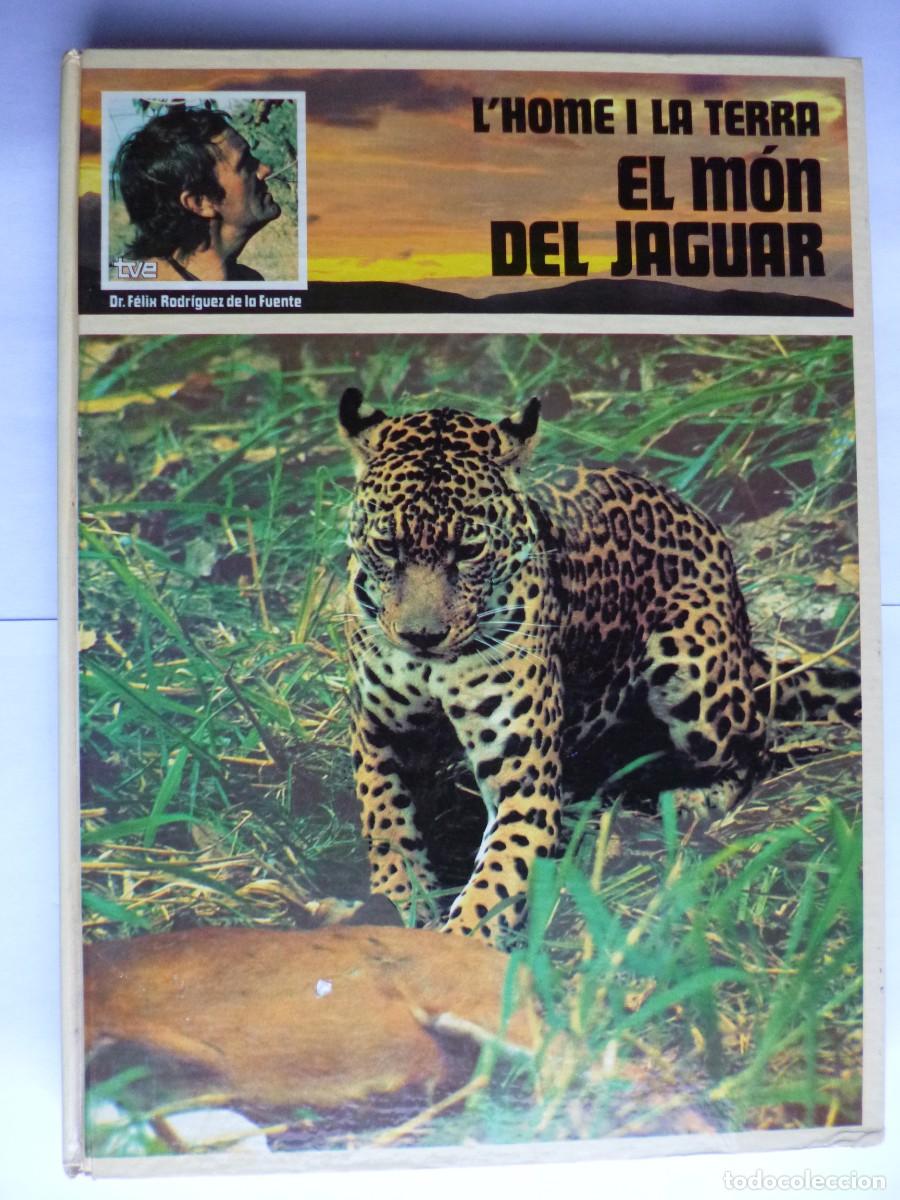 Libros: Libros - Foto 1