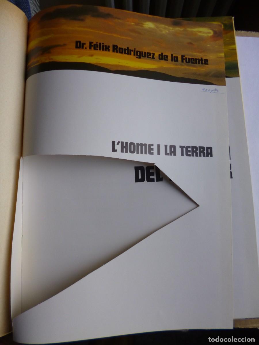 Libros: Libros - Foto 3