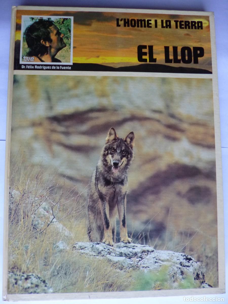 Libros: Libros - Foto 5