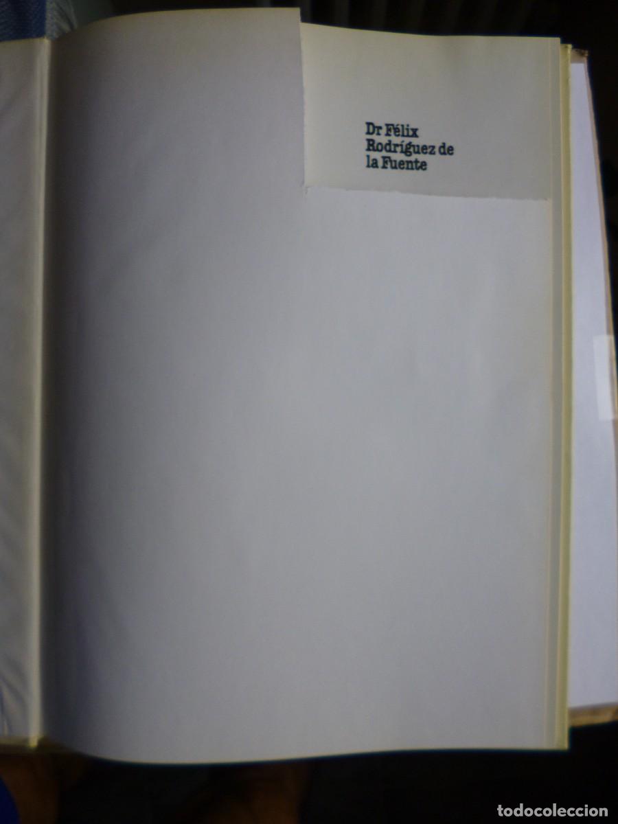 Libros: Libros - Foto 11