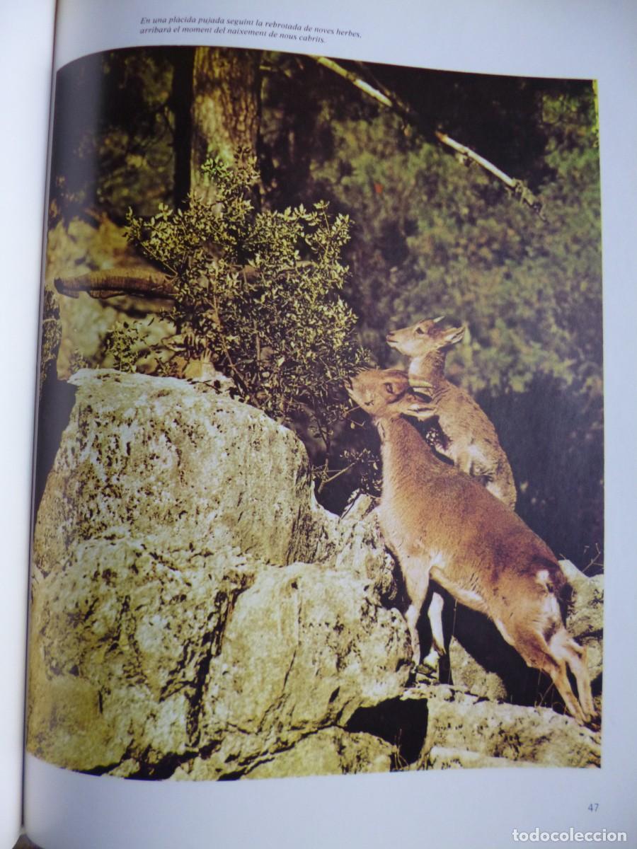 Libros: Libros - Foto 12