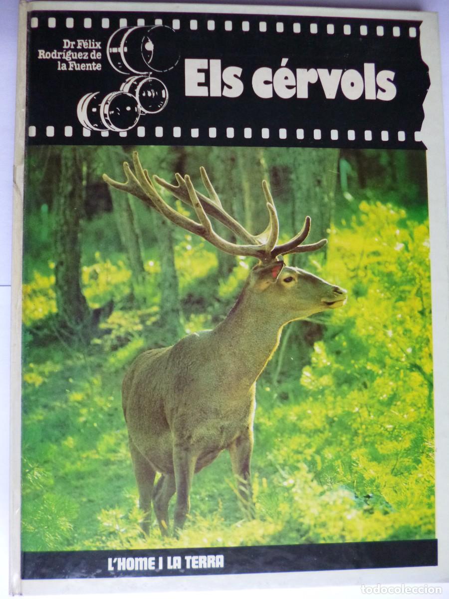 Libros: Libros - Foto 13