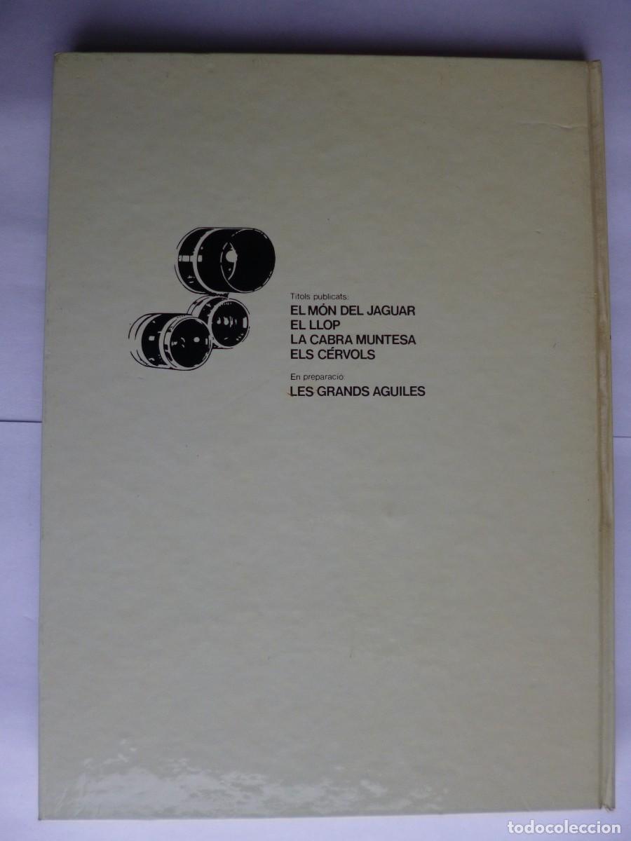 Libros: Libros - Foto 14