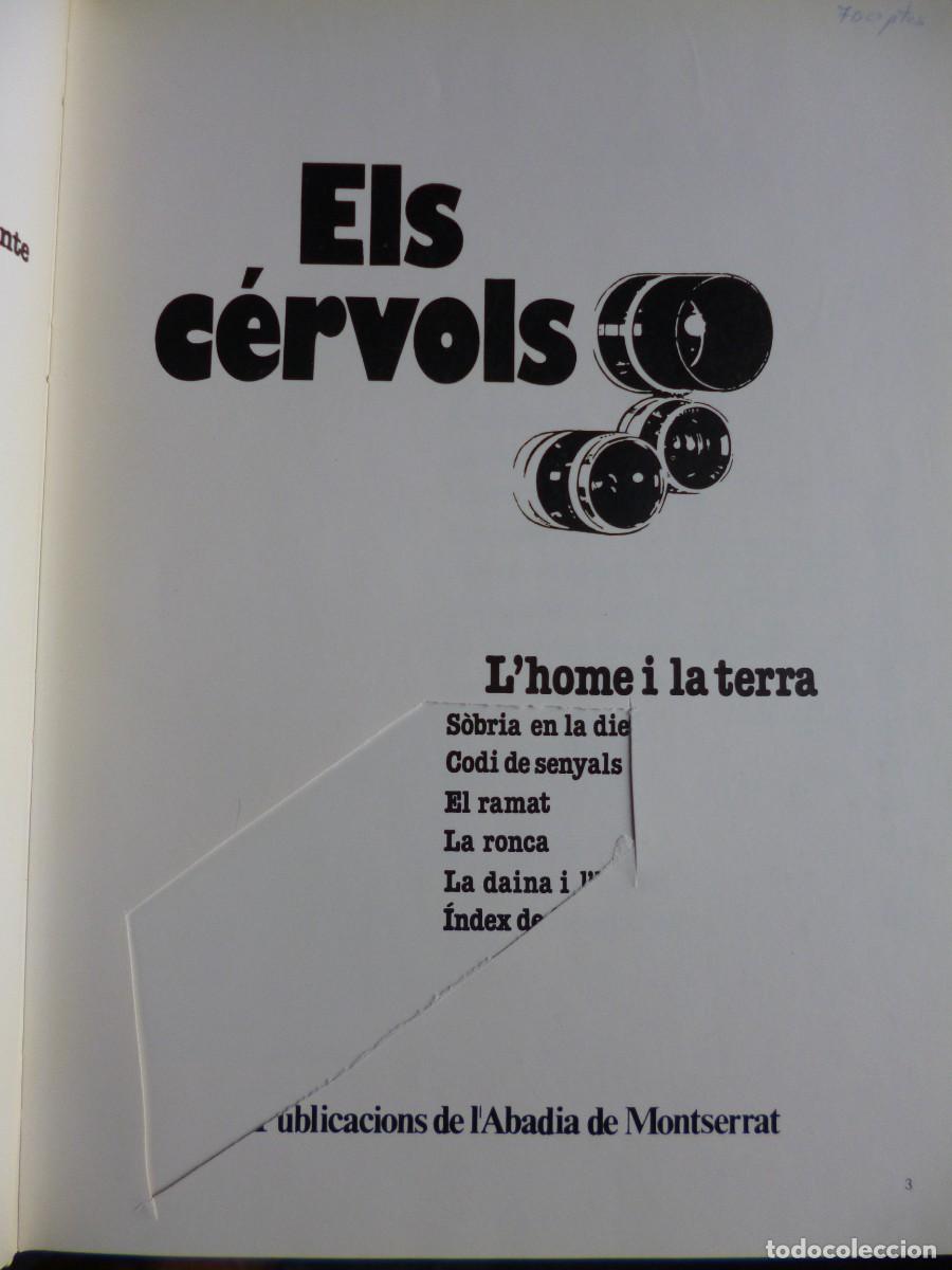 Libros: Libros - Foto 15
