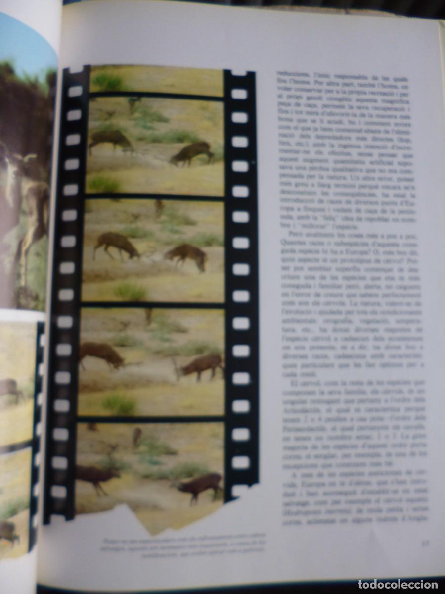 Libros: Libros - Foto 16