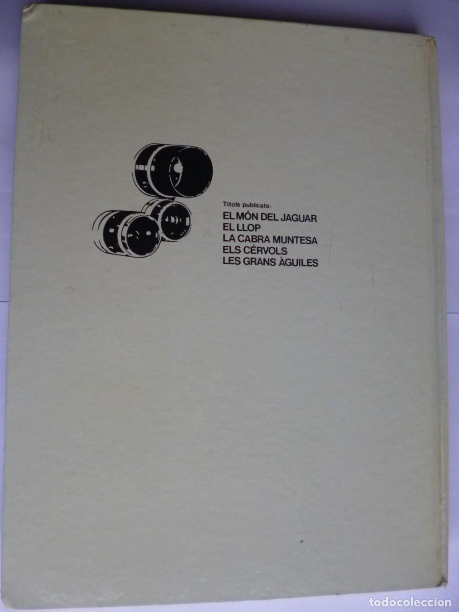 Libros: Libros - Foto 18