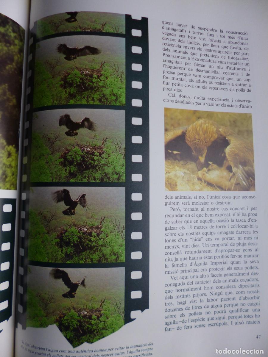 Libros: Libros - Foto 20