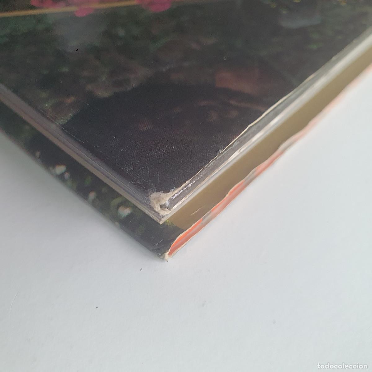 Libros: Toshiya Kimura - Sasha - Foto 5