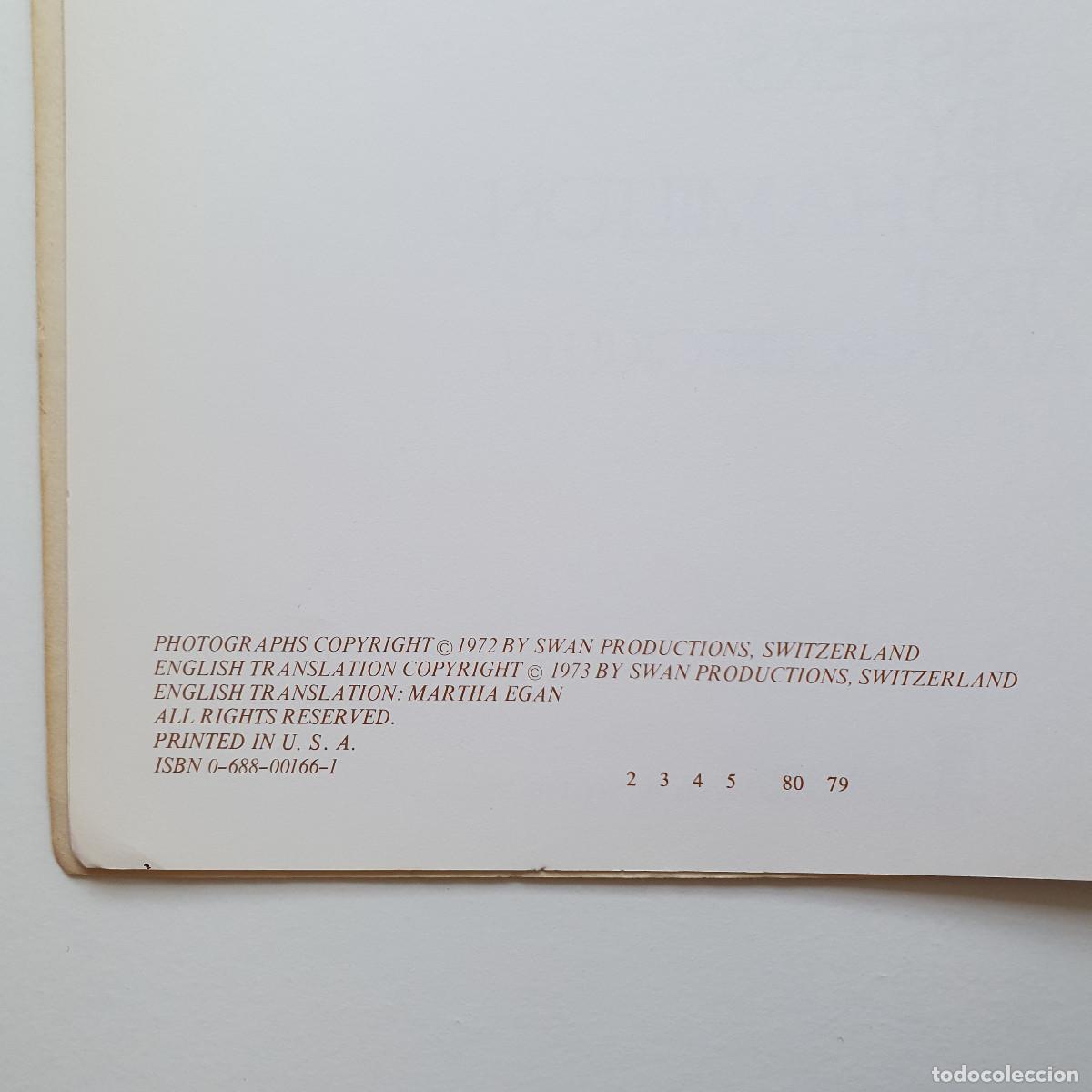 Libros: David Hamilton - Sisters - Foto 20