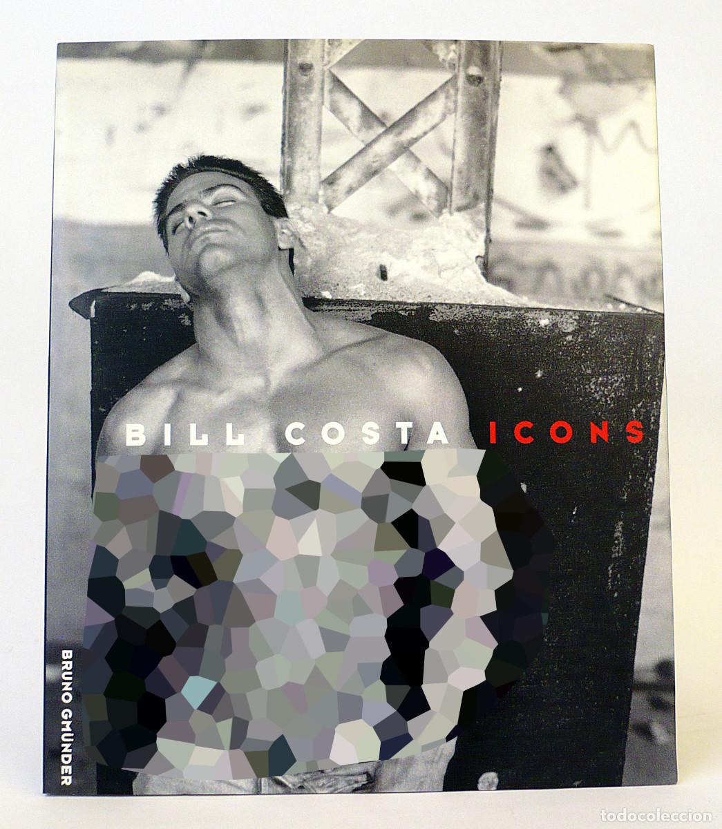 B&uuml;cher: Bruno Gm&uuml;nder, Bill Costa, Icons