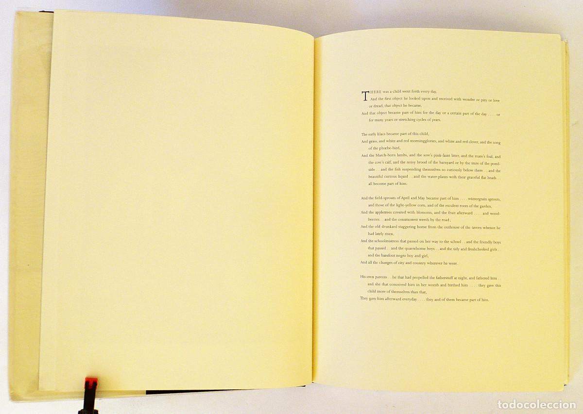 Libros: Lengthening shadows before nightfall - Foto 4