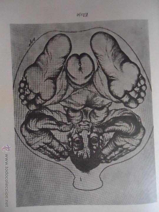 Others for Adults: referencia 22 - ilustracion erotica tama&ntilde;o postal grande 17x11 cm , perteneciente a libro