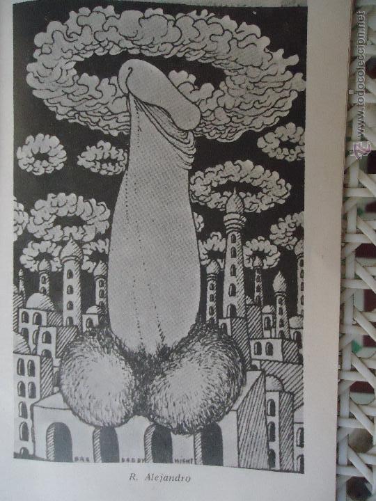 Autres: referencia 22 - ilustracion ARTE LAMINA erotica tama&ntilde;o postal grande 17x11 cm perteneciente a libro