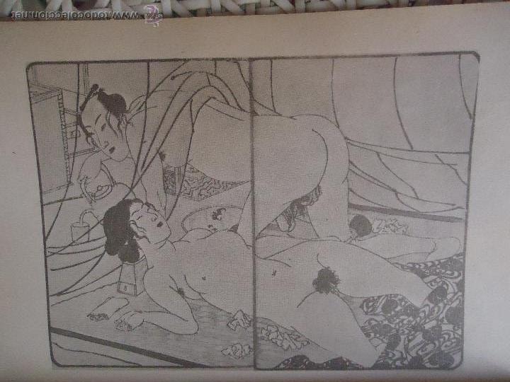 Autres: referencia 22 - ilustracion ARTE LAMINA erotica tama&ntilde;o postal grande 17x11 cm perteneciente a libro