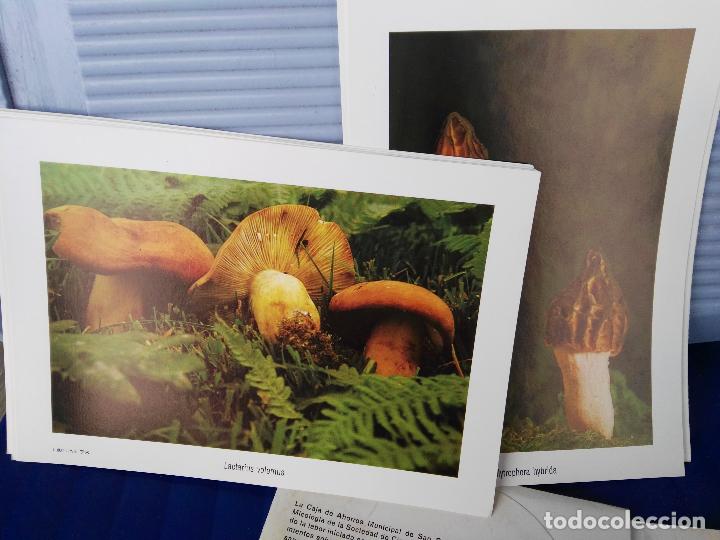 Otros: FICHAS  DE   SETAS    DEL  PAIS  VASCO - Foto 2