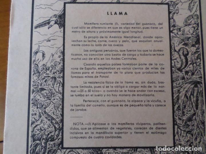 Otros: CUADERNOS DE ESCUELA - Foto 2