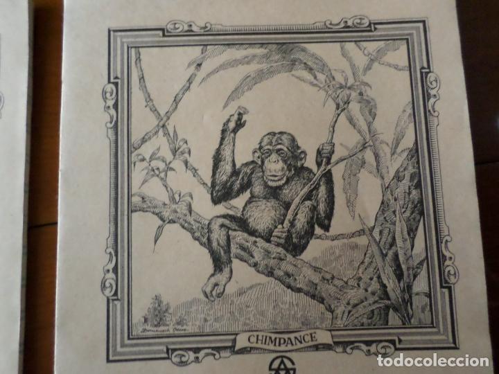 Otros: CUADERNOS DE ESCUELA - Foto 3