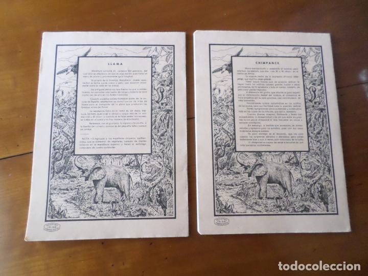Otros: CUADERNOS DE ESCUELA - Foto 6