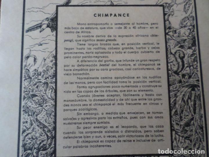 Otros: CUADERNOS DE ESCUELA - Foto 7