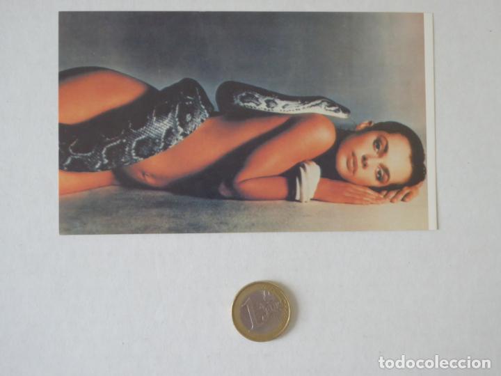 Others for Adults: Adhesivo: Natassja Kinski desnuda con serpiente