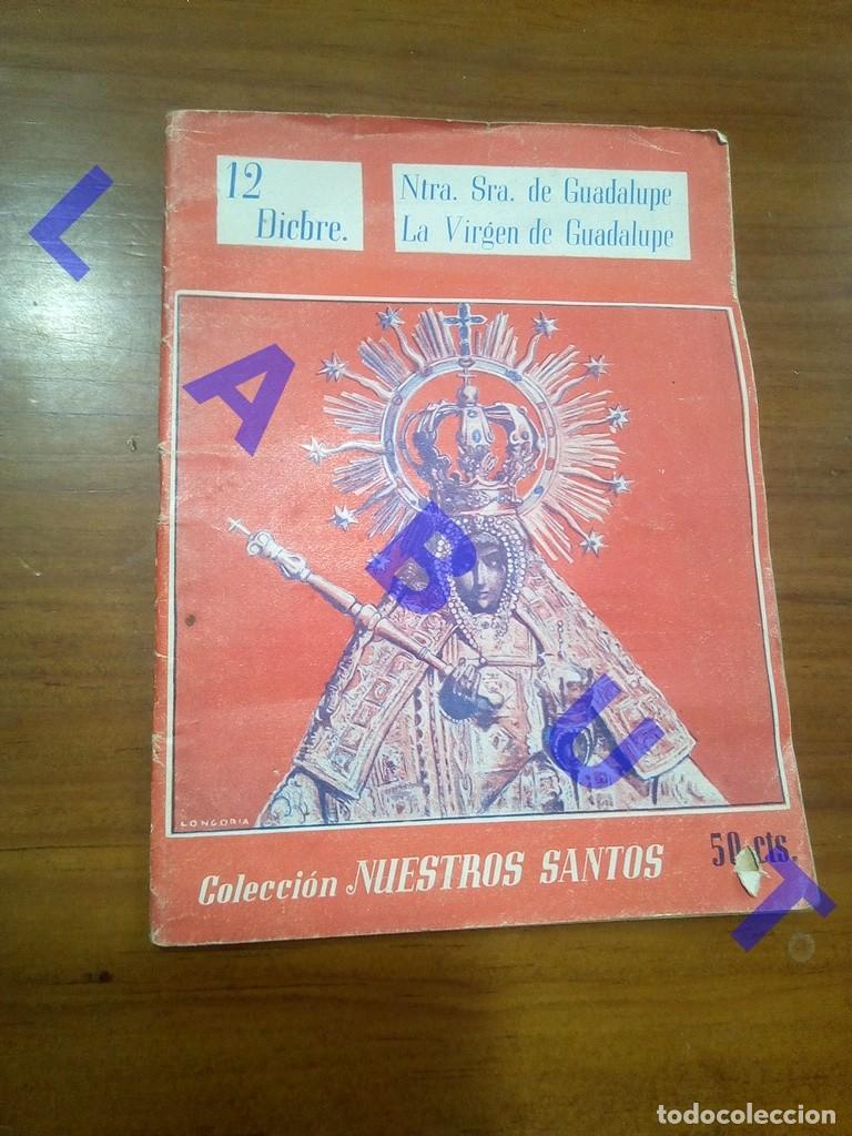 Others for Adults: NTRA SRA VIRGEN DE GUADALUPE LONGORIA COLECCION NUESTROS SANTOS AQ17