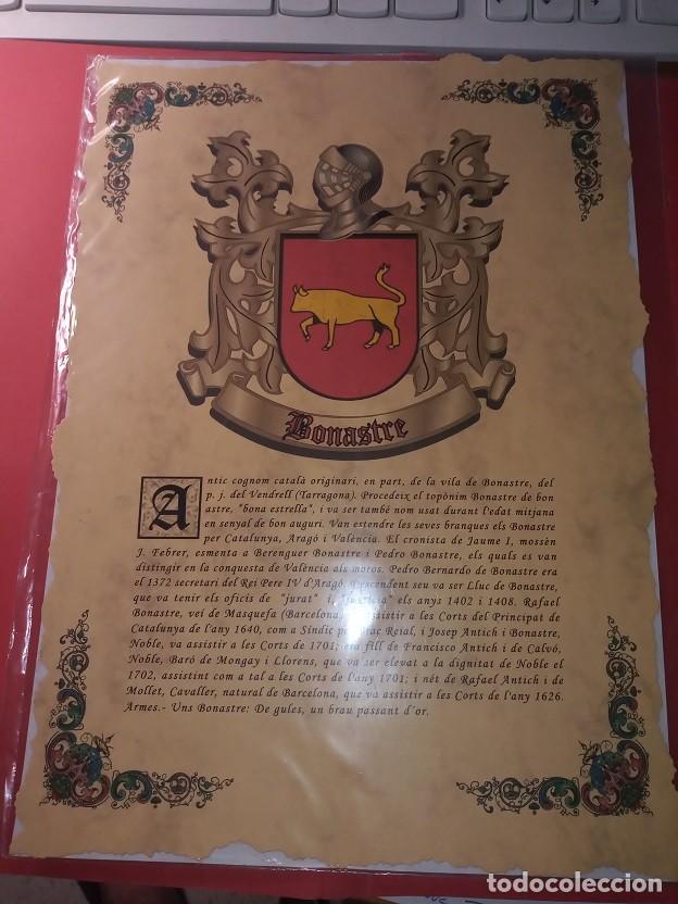 Otros: escudos her&aacute;ldicos - Foto 7