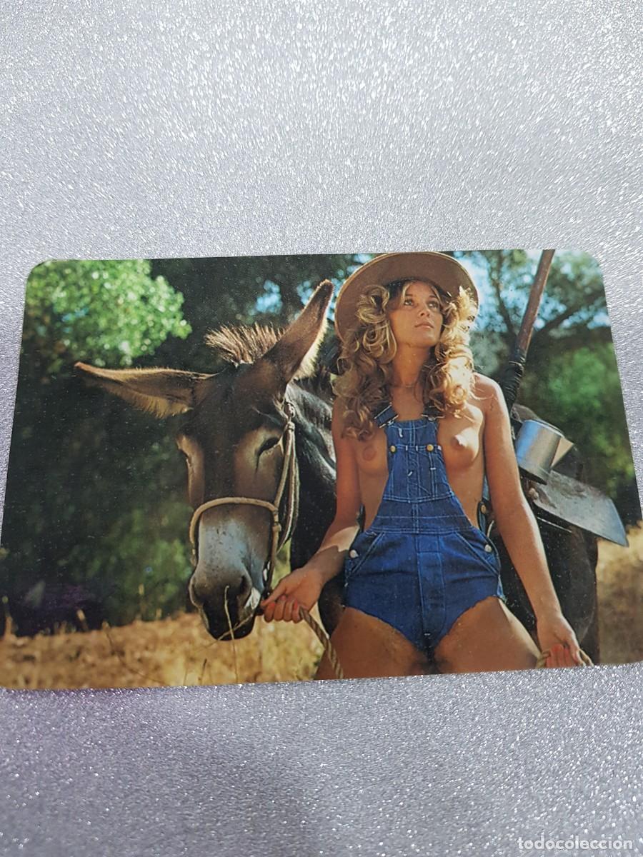 Autres: CALENDARIO EROTICO 1981