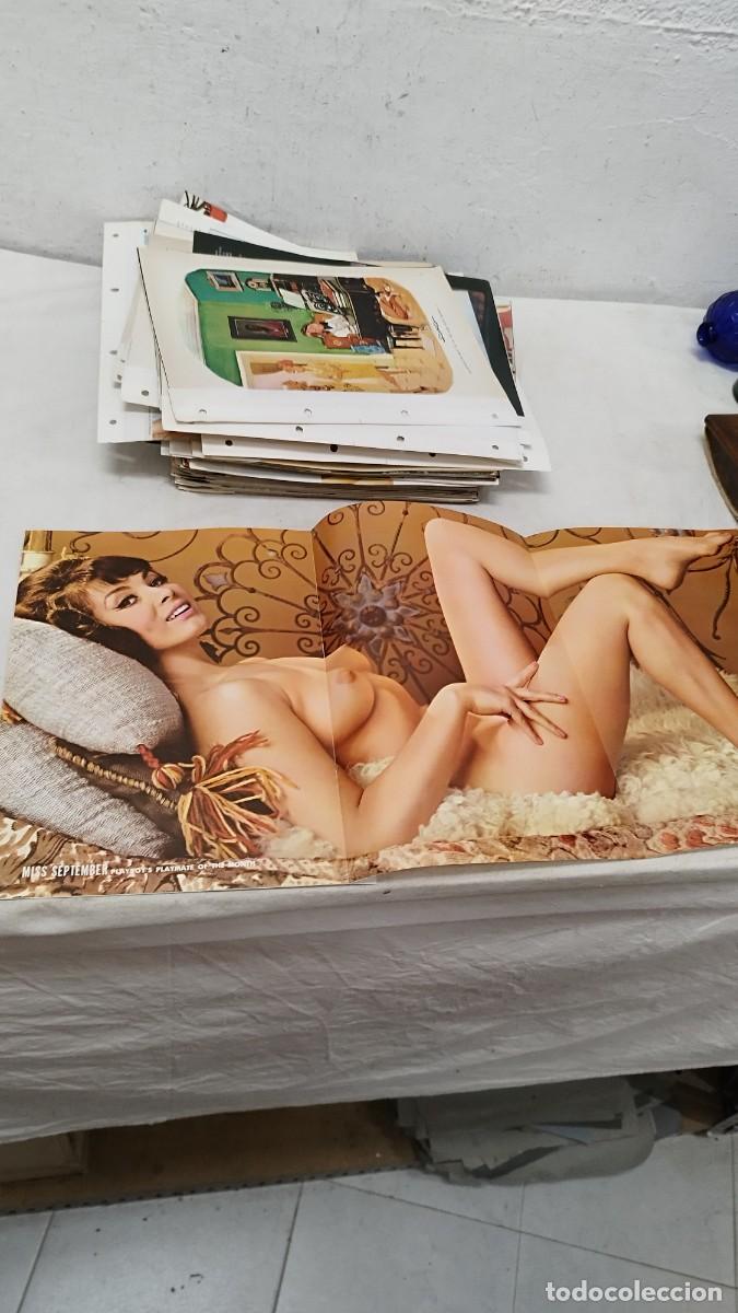Otros: Lote de 67 secciones centrales,con su poster de revistas Playboy. er&oacute;ticas solo para adulltos