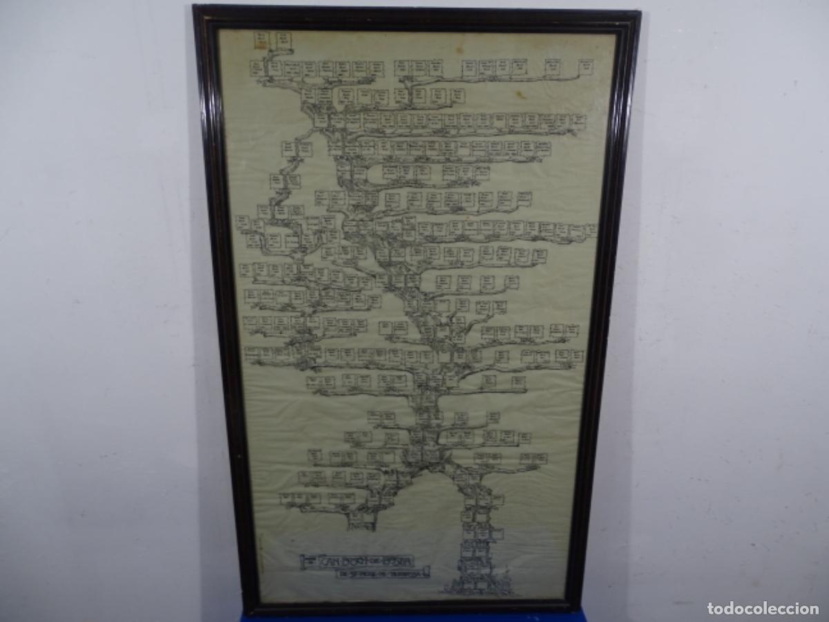 Others for Adults: ANTIGUO &Aacute;RBOL GENEAL&Oacute;GICO CAN BOSCH DE BASEA 1193-1928. SANT PERE DE TERRASSA.