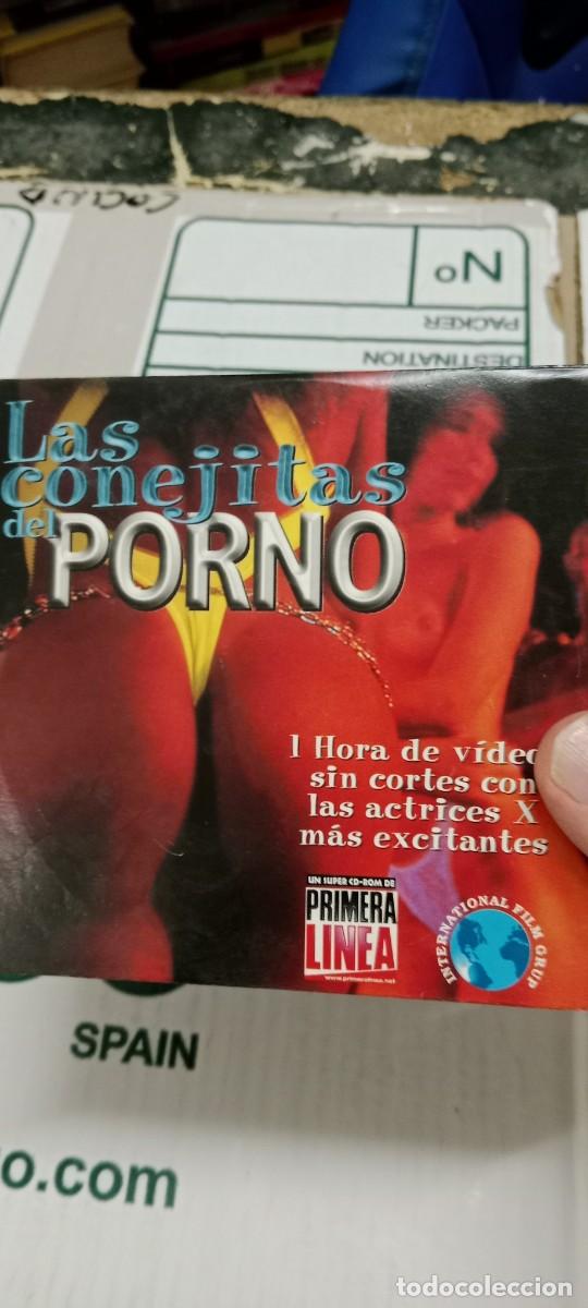 Andere Artikel: GG-PSC PC CDROM LAS CONEJITAS DEL PORNO