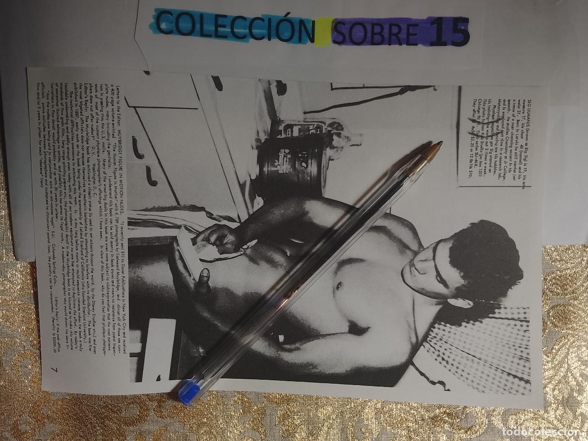 Autres: hoja tematica gay artistica fotografica o comic hombre erotico desnudos culturismo homo sexo EROTICA