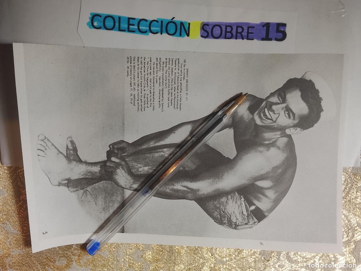 Outros: hoja tematica gay artistica fotografica o comic hombre erotico desnudos culturismo homo sexo EROTICA