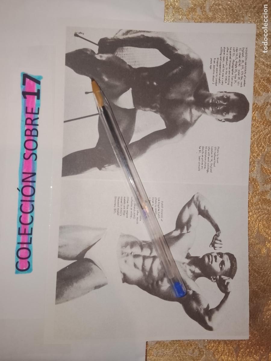 Autres: hoja tematica gay artistica fotografica o comic hombre erotico desnudos culturismo homo sexo EROTICA