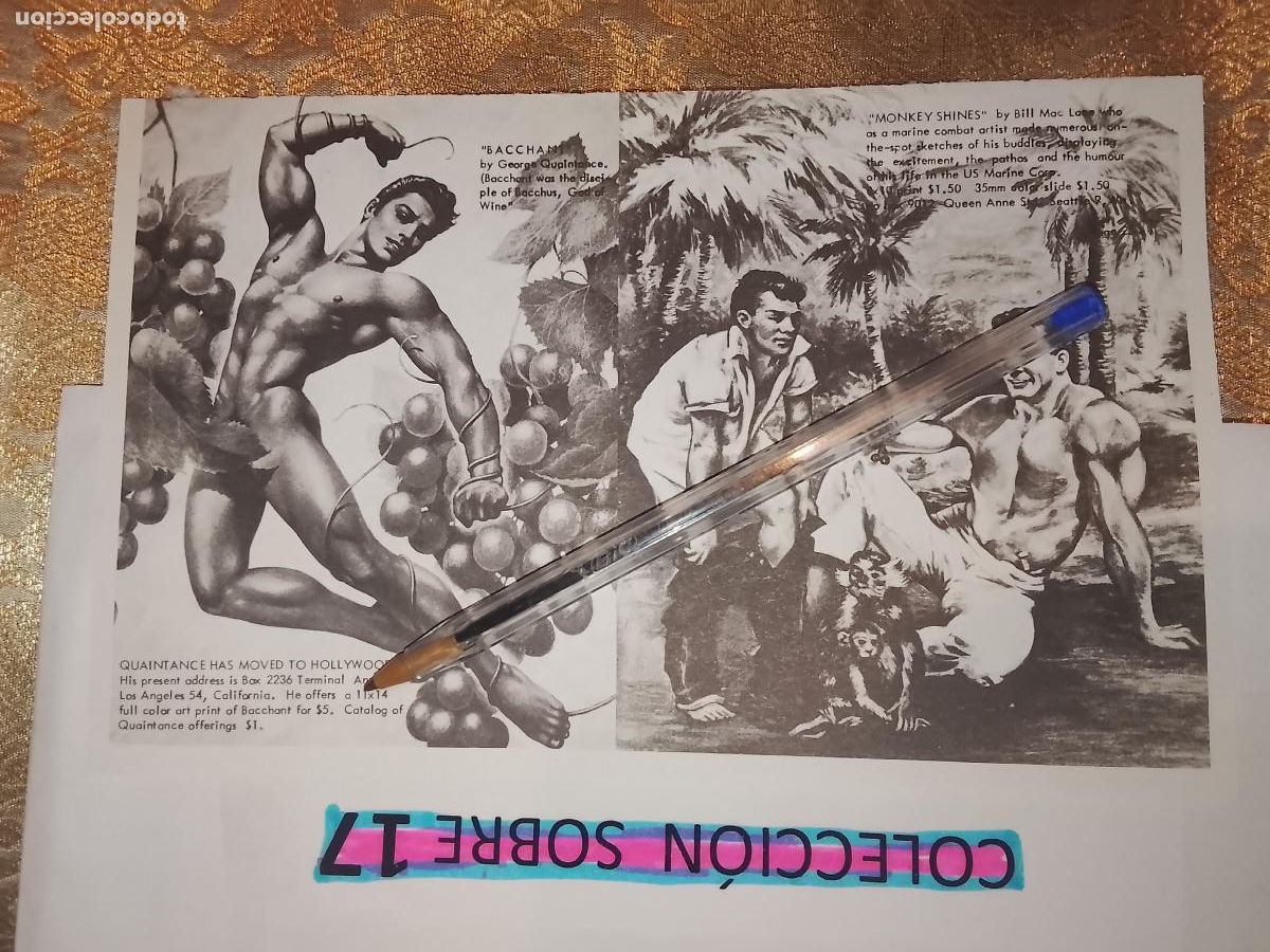 Autres: hoja tematica gay artistica fotografica o comic hombre erotico desnudos culturismo homo sexo EROTICA