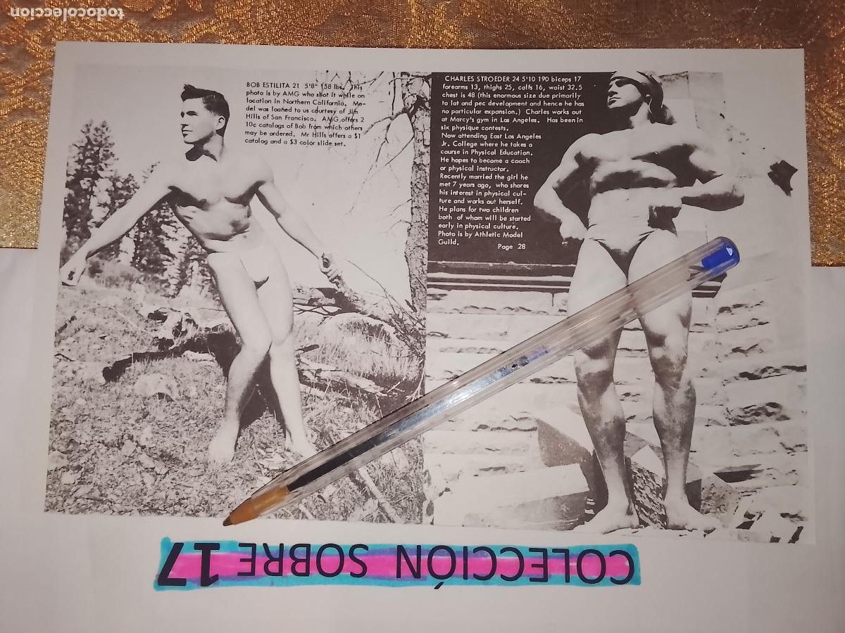 Outros: hoja tematica gay artistica fotografica o comic hombre erotico desnudos culturismo homo sexo EROTICA