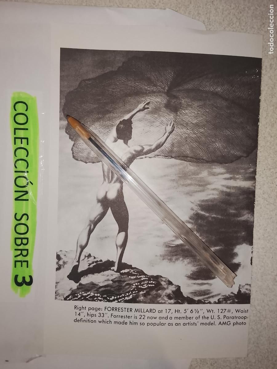 Others for Adults: hoja tematica gay artistica fotografica o comic hombre erotico desnudos culturismo homo sexo EROTICA