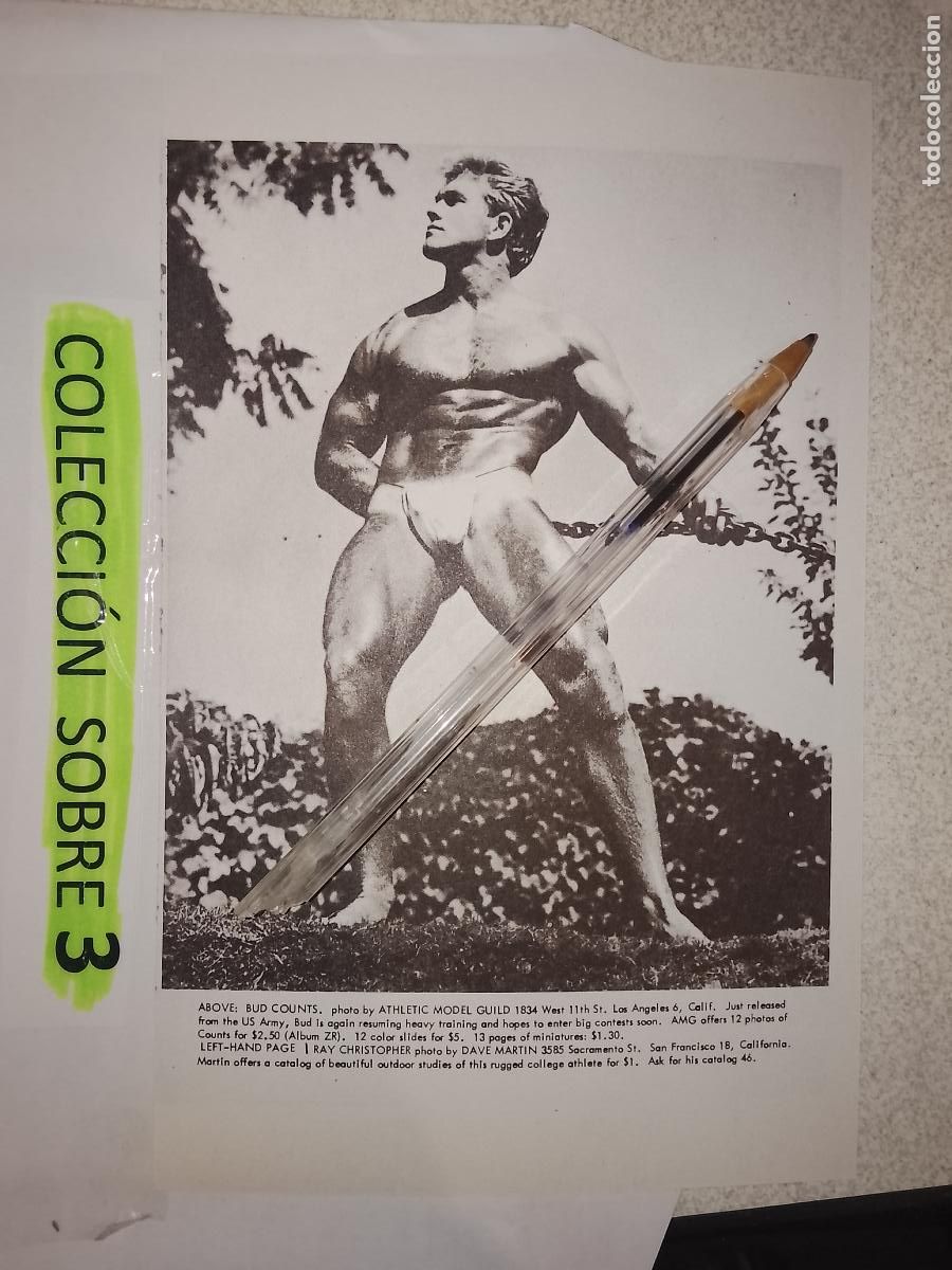 Outros: hoja tematica gay artistica fotografica o comic hombre erotico desnudos culturismo homo sexo EROTICA